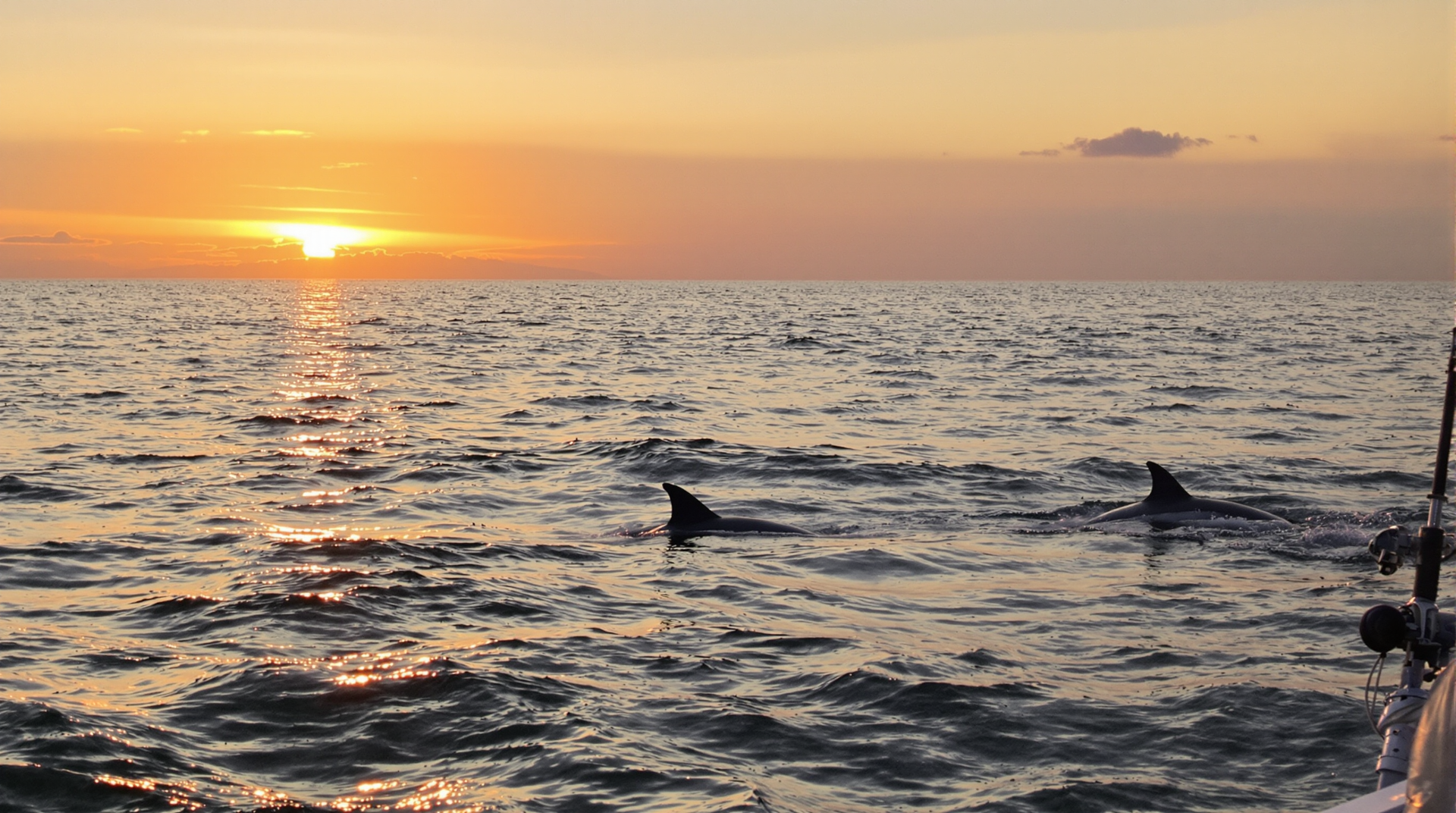 Bay Fishing SPI: Your Guide to Fishing Paradise in South Padre Island