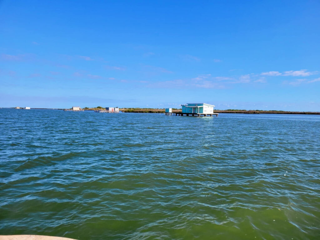 FAQ Drift Water Charters Fishing Guide